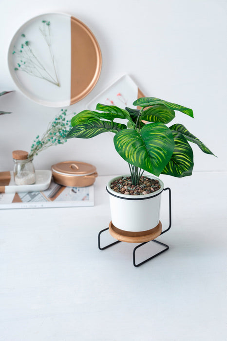 Modern Tabletop Planter with Stand and Saucer