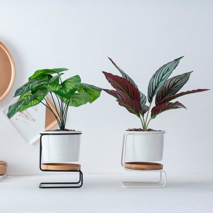 Modern Tabletop Planter with Stand and Saucer