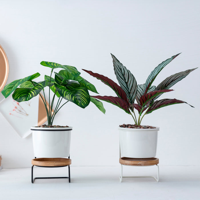 Modern Tabletop Planter with Stand and Saucer