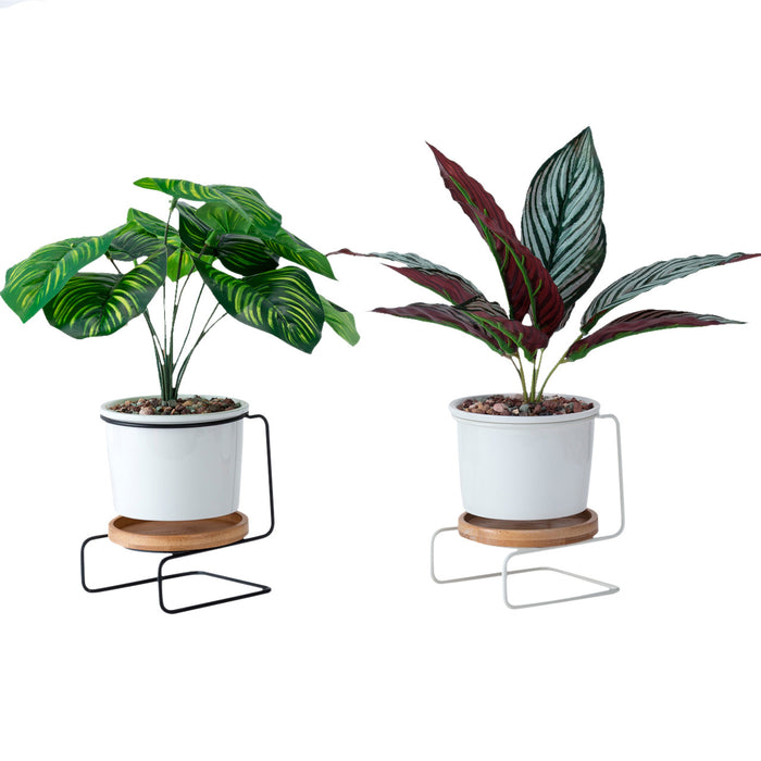 Modern Tabletop Planter with Stand and Saucer
