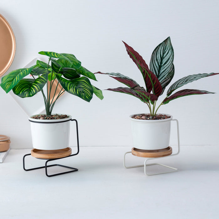 Modern Tabletop Planter with Stand and Saucer