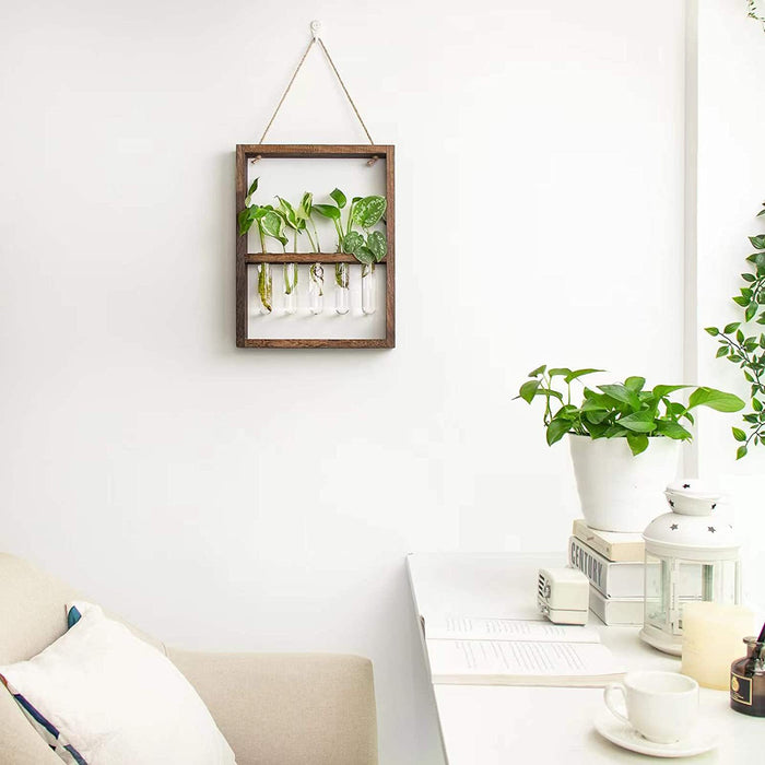 Artisan Botanics Wall-Mounted Test Tube Plant Display