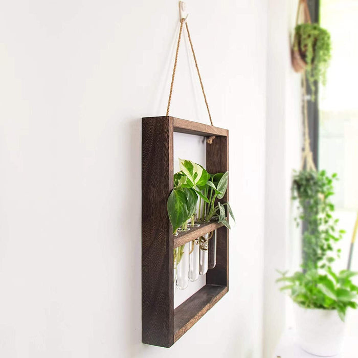 Artisan Botanics Wall-Mounted Test Tube Plant Display