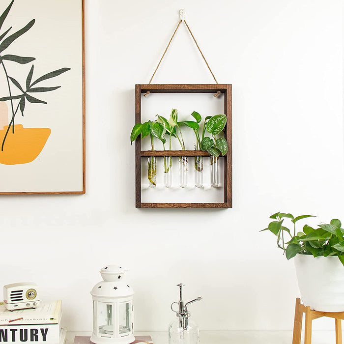 Artisan Botanics Wall-Mounted Test Tube Plant Display